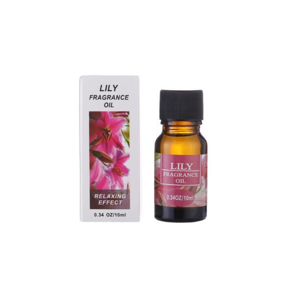 Aromatherapy essential oil humidifier - Image 2