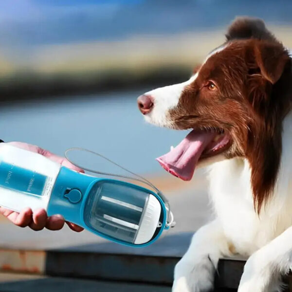 Three-in-one Portable Small Multi-functional Pet Cup - Image 6